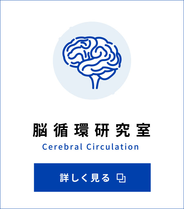 脳循環研究室 Cerebral Circulation