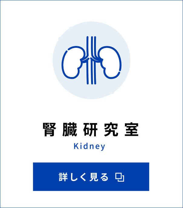 腎臓研究室 Kidney