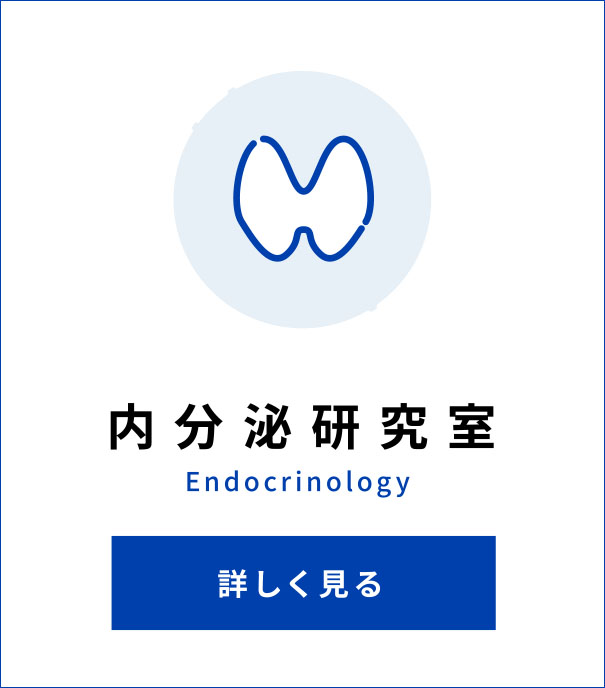 内分泌研究室 Endocrinology