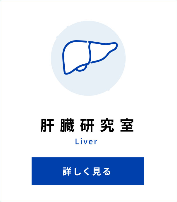 肝臓研究室 Liver